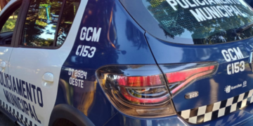 GCM de Guarulhos flagra furto de cabos de telefonia no Jardim Baruch – SEGURANÇA