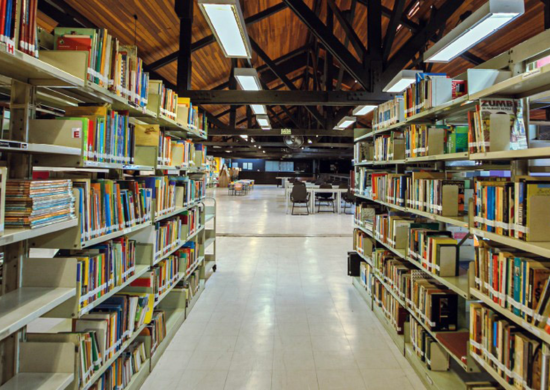 Adamastor em Guarulhos abre biblioteca para visita guiada gratuita a partir de segunda-feira – EVENTO CULTURAL