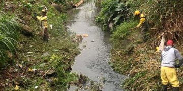 Prefeitura de Guarulhos realiza limpeza e corte do mato nas margens do córrego Baquirivu-Mirim – ZELADORIA URBANA
