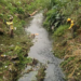 Prefeitura de Guarulhos realiza limpeza e corte do mato nas margens do córrego Baquirivu-Mirim – ZELADORIA URBANA
