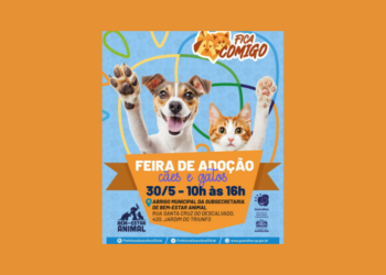 Prefeitura de Guarulhos realiza evento de adoção de cães e gatos neste sábado em Bonsucesso – ADOTE AMOR!