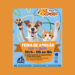 Prefeitura de Guarulhos realiza evento de adoção de cães e gatos neste sábado em Bonsucesso – ADOTE AMOR!