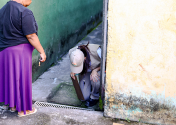 Ações contra o Aedes aegypti alcançam 34 locais em Guarulhos – COMBATE À DENGUE