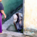 Ações contra o Aedes aegypti alcançam 34 locais em Guarulhos – COMBATE À DENGUE