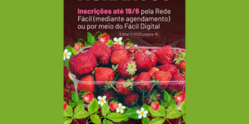 Guarulhos recebe inscrições para comércio eventual de morangos até 19 de junho – MERCADO DE TRABALHO INFORMAL