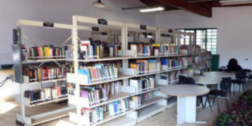 Biblioteca Gracinda dos Anjos em Guarulhos celebra o Dia Mundial do Meio Ambiente com atividade artística para crianças – EVENTO CULTURAL INFANTIL
