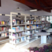 Biblioteca Gracinda dos Anjos em Guarulhos celebra o Dia Mundial do Meio Ambiente com atividade artística para crianças – EVENTO CULTURAL INFANTIL