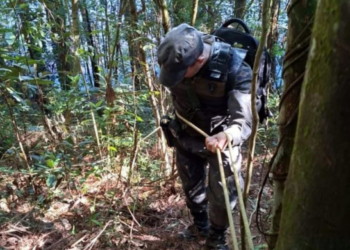 GCM de Guarulhos prepara agentes para atuar na fiscalização e na proteção ambiental da cidade – COMBATE A CRIMES AMBIENTAIS