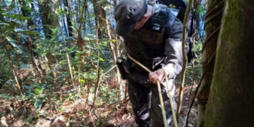 GCM de Guarulhos prepara agentes para atuar na fiscalização e na proteção ambiental da cidade – COMBATE A CRIMES AMBIENTAIS