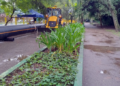 Trecho da pista de caminhada do Bosque Maia em Guarulhos está interditada para intervenção da Sabesp – INFRAESTRUTURA URBANA