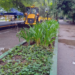 Trecho da pista de caminhada do Bosque Maia em Guarulhos está interditada para intervenção da Sabesp – INFRAESTRUTURA URBANA