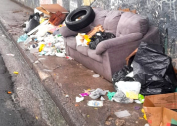 Prefeitura de Guarulhos remove descarte irregular na Vila Rio e no Jardim Flor da Montanha – ZELADORIA URBANA