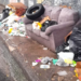 Prefeitura de Guarulhos remove descarte irregular na Vila Rio e no Jardim Flor da Montanha – ZELADORIA URBANA