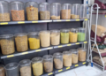 Procon Guarulhos realiza operação de fiscalização em mais de 40 pet shops de vários bairros – PROTEÇÃO AO CONSUMIDOR