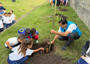 Prefeitura de Guarulhos convida população para o plantio de 400 mudas de árvores em celebração ao Mês do Meio Ambiente – EDUCAÇÃO AMBIENTAL