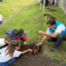 Prefeitura de Guarulhos convida população para o plantio de 400 mudas de árvores em celebração ao Mês do Meio Ambiente – EDUCAÇÃO AMBIENTAL