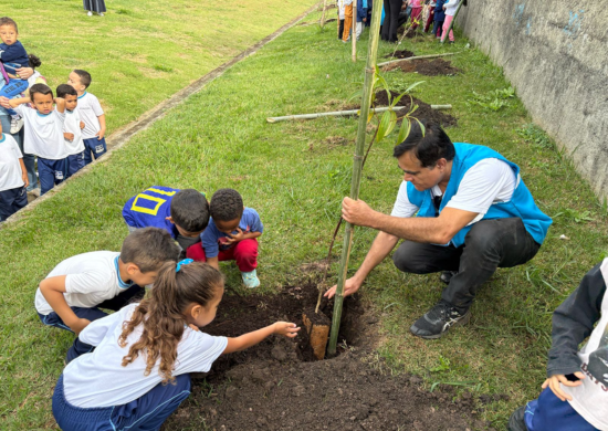 Prefeitura de Guarulhos convida população para o plantio de 400 mudas de árvores em celebração ao Mês do Meio Ambiente – EDUCAÇÃO AMBIENTAL