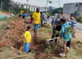 Região do Pimentas em Guarulhos ganha mais 100 mudas de árvores nativas da Mata Atlântica – MÊS DO MEIO AMBIENTE