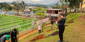 Vila Nova Bonsucesso em Guarulhos ganha mais 50 mudas de árvores nativas da Mata Atlântica – MEIO AMBIENTE