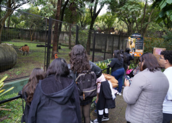 Zoológico Municipal de Guarulhos antecipa fechamento no domingo, 05/07, em razão do jogo do Brasil – SERVIÇO AO CIDADÃO