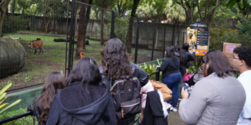 Zoológico Municipal de Guarulhos antecipa fechamento no domingo, 05/07, em razão do jogo do Brasil – SERVIÇO AO CIDADÃO