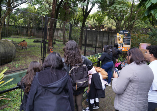 Zoológico Municipal de Guarulhos antecipa fechamento no domingo, 05/07, em razão do jogo do Brasil – SERVIÇO AO CIDADÃO