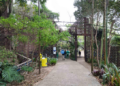 Programação ambiental de julho terá SOS Orquídeas e Observação de Aves no Bosque Maia em Guarulhos – EDUCAÇÃO AMBIENTAL – INSCRIÇÕES ABERTAS