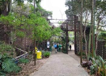 Programação ambiental de julho terá SOS Orquídeas e Observação de Aves no Bosque Maia em Guarulhos – EDUCAÇÃO AMBIENTAL – INSCRIÇÕES ABERTAS