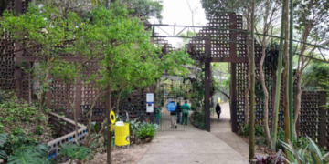 Programação ambiental de julho terá SOS Orquídeas e Observação de Aves no Bosque Maia em Guarulhos – EDUCAÇÃO AMBIENTAL – INSCRIÇÕES ABERTAS
