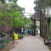 Programação ambiental de julho terá SOS Orquídeas e Observação de Aves no Bosque Maia em Guarulhos – EDUCAÇÃO AMBIENTAL – INSCRIÇÕES ABERTAS