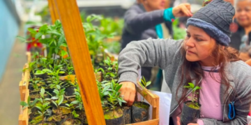 Prefeitura de Guarulhos distribui 700 mudas de árvores durante evento de apoio ao imigrante – MEIO AMBIENTE