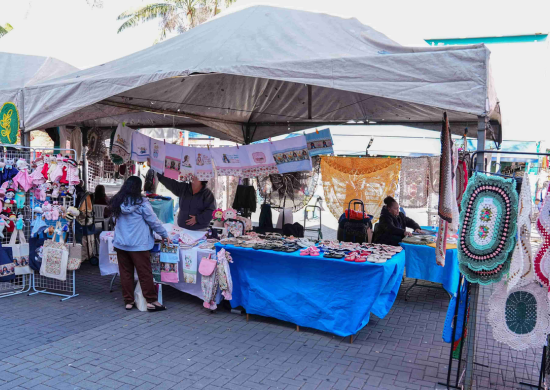 Prefeitura de Guarulhos divulga programação de julho da Feira da Economia Solidária – GERAÇÃO DE RENDA E INCENTIVO AO PEQUENO EMPREENDEDOR