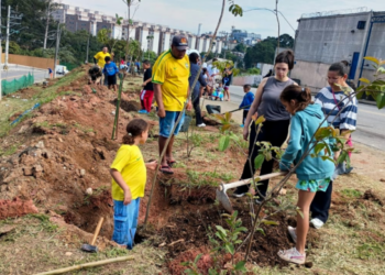 Prefeitura de Guarulhos convida para plantio de 100 árvores nativas da Mata Atlântica no Jardim Acácio – MEIO AMBIENTE E SUSTENTABILIDADE