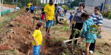 Prefeitura de Guarulhos convida para plantio de 100 árvores nativas da Mata Atlântica no Jardim Acácio – MEIO AMBIENTE E SUSTENTABILIDADE