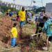 Prefeitura de Guarulhos convida para plantio de 100 árvores nativas da Mata Atlântica no Jardim Acácio – MEIO AMBIENTE E SUSTENTABILIDADE