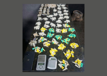 Ações da GCM de Guarulhos resultam em prisões por tráfico, recuperação de veículo e resgate de animal silvestre – SEGURANÇA PÚBLICA