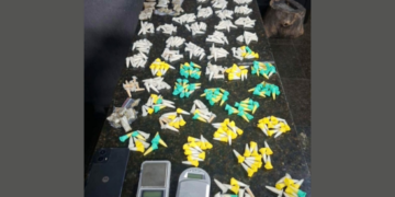 Ações da GCM de Guarulhos resultam em prisões por tráfico, recuperação de veículo e resgate de animal silvestre – SEGURANÇA PÚBLICA