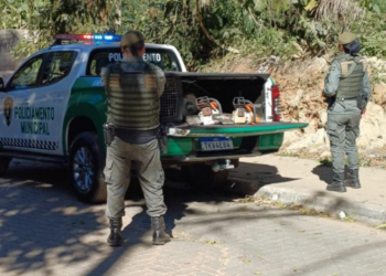 GCM de Guarulhos detém dois homens e apreende motosserras e pássaros silvestres em ações de combate a crimes ambientais – GUARULHOS FIRME CONTRA CRIME AMBIENTAL