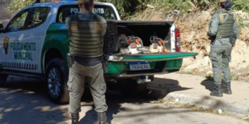 GCM de Guarulhos detém dois homens e apreende motosserras e pássaros silvestres em ações de combate a crimes ambientais – GUARULHOS FIRME CONTRA CRIME AMBIENTAL