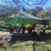 Bosque Maia em Guarulhos recebe Oficina de Dança Circular na manhã do próximo domingo, 26/07 – LAZER PARA TODOS OS PÚBLICOS