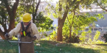 Prefeitura de Guarulhos realiza serviços de roçagem e limpeza na Praça dos Aviadores, no Jardim Cocaia – ZELADORIA URBANA