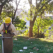 Prefeitura de Guarulhos realiza serviços de roçagem e limpeza na Praça dos Aviadores, no Jardim Cocaia – ZELADORIA URBANA