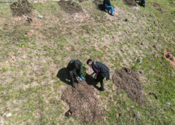 Jardim Acácio ganha mais cem mudas de árvores nativas da Mata Atlântica – MEIO AMBIENTE