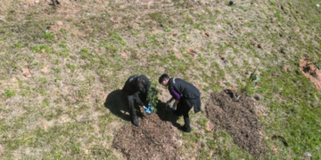 Jardim Acácio ganha mais cem mudas de árvores nativas da Mata Atlântica – MEIO AMBIENTE