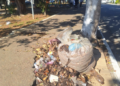 Prefeitura de Guarulhos promove ação de limpeza em travessia da avenida Salgado Filho – ZELADORIA URBANA