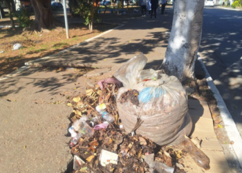 Prefeitura de Guarulhos promove ação de limpeza em travessia da avenida Salgado Filho – ZELADORIA URBANA