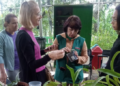 Orquídeas, abelhas e aves compõem a agenda ambiental de agosto da Prefeitura de Guarulhos – EDUCAÇÃO AMBIENTAL