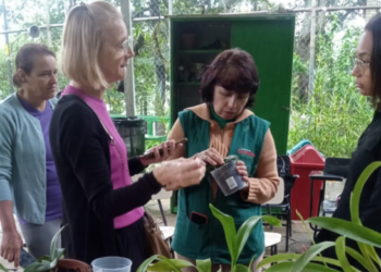 Orquídeas, abelhas e aves compõem a agenda ambiental de agosto da Prefeitura de Guarulhos – EDUCAÇÃO AMBIENTAL