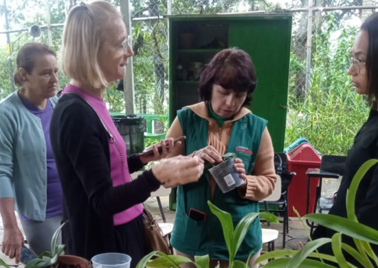 Orquídeas, abelhas e aves compõem a agenda ambiental de agosto da Prefeitura de Guarulhos – EDUCAÇÃO AMBIENTAL
