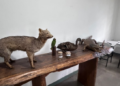 Zoológico de Guarulhos realiza bate-papo sobre pequenas atitudes que ajudam a preservar o meio ambiente – EDUCAÇÃO E ORIENTAÇÃO AMBIENTAL